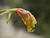 B008590-603oofm